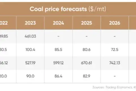 Kiedy ekogroszek stanieje 2026? Prognozy i porady zakupowe