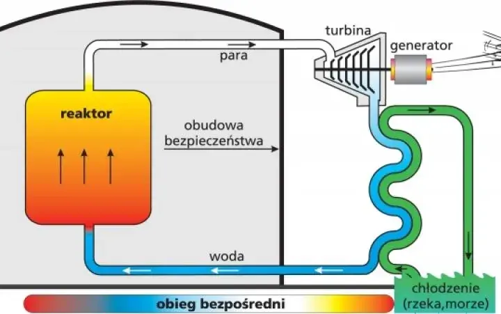 Jak działa elektrownia atomowa? Wyjaśniamy krok po kroku